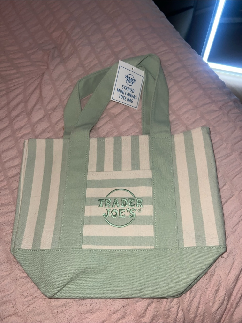 Trader Joe's Mint Green Striped Canvas Tote